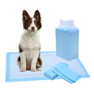 Factory Customized Pet Training Pads With 5-Layer Absorbent For Sale