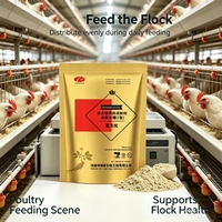 EggSure Complément Alimentaire Botanique Naturel pour Poules : Optimise l'Utilisation des Nutriments, Renforce l'Immunité de la Volaille
