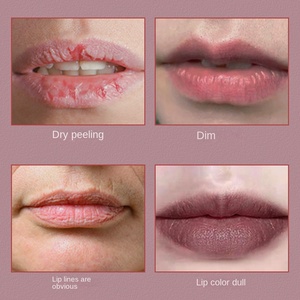 <span class=keywords><strong>Rouge</strong></span> à lèvres mat authentique de marque haut de gamme, non décolorant, anti-transfert, hydratant, produit de beauté pour le commerce - Product Image 4