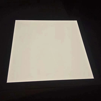 Panel LED de Plástico Flexible, Lámina de Panel de Guía de Luz LED
