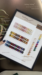 Esmalte de <span class=keywords><strong>Uñas</strong></span> Ojo de Gato de 36 Colores, Precio de Fábrica, Libre de TPO y HEMA, Esmalte de Gel de Larga Duración en Botella, Set de Diseño - Product Image 6