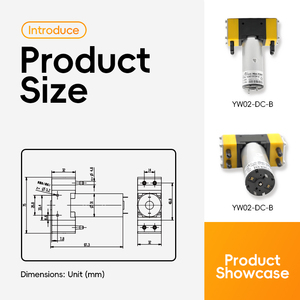 לחץ גבוה 12v חשמלי מיני משאבת הידראולית עם מבנה דיאפרגמה להתאמה אישית oem לתעשיית הרכב - Product Image 3