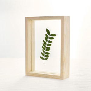 Hai mặt kính trong suốt thực vật mẫu thực vật ép hoa Khung ảnh gỗ hộp Cán Bộ En Bois Nhiều màu - Product Image 5