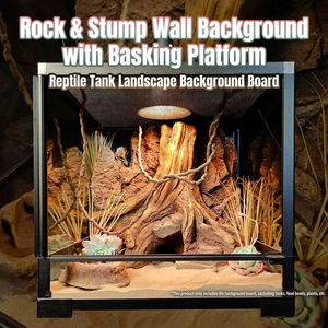 Panneau de fond de terrarium en résine 3D personnalisable avec plateforme de basking et grotte pour la décoration des terrariums de dragons barbus et de geckos - Product Image 5