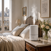 Humidificateur à ultrasons 3L à brume froide, diffuseur d'arômes avec veilleuse LED, deux modes de brume et arrêt automatique pour chambre, maison, bureau