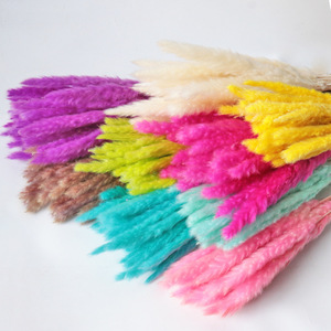 Vente chaude Naturel Séchées Pampas Herbe Lapin <span class=keywords><strong>Queue</strong></span> Pour La Décoration - Product Image 6