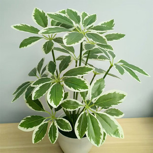 Planta Artificial Colgante Schefflera de Siete Estrellas, Decoración de Pared Interior, Follaje Artificial para Hogar, Bodas y Hoteles - Product Image 1