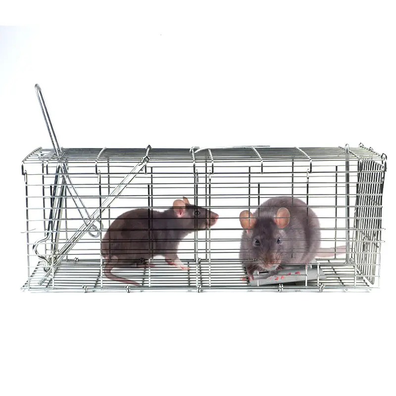 Conigli roditori MaxxGarden Trappola di Cattura infallibile Pieghevole Gabbia per Piccoli Animali ratti 