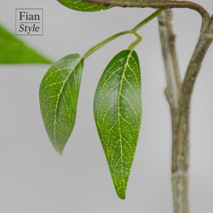 FONG IAN grosir daun Osmanthus dengan Pot hidup hijau Natal pernikahan dekorasi dalam ruangan untuk pintu masuk rumah kantor - Product Image 3