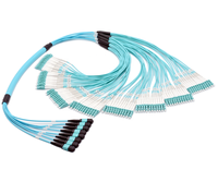 24F MTP to 12 LC DX Fanout Cable Fiber Optic Patch Cord CO-NET Brand FTTH/WDM Use