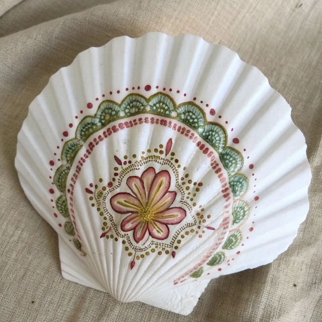 White Natural Sea Shells for Craft DIY Home Decor Wedding Decorations Bulk Wholesale White Natural Sea Shells