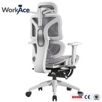 Chaise de bureau ergonomique du fabricant, vérin à gaz de classe 3 certifié antidéflagrant, accoudoirs, dossier en maille, assise en mousse, inclinable