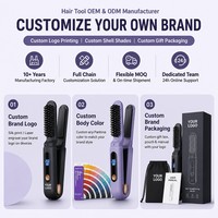 Spazzola Lisciante e Piastra 2 in 1 Senza Fili Torlin, Ricaricabile, Display LCD, USB Type-C, Batteria 3500mAh