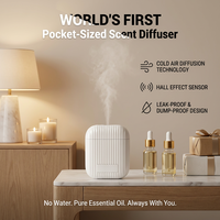 Nouvelle Version Diffuseur de Parfum Extérieur Alimenté par USB, Machine à Arômes Bi-fluides 5ml, Design Écologique en Plastique pour Voiture et Utilisation Portable