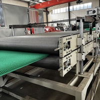 Línea de Extrusión Semiautomática para Alfombras de Césped Sintético PE Gold Rush con PLC y un Solo Tornillo para Plantas de Fabricación de Alfombras para Hogar, Jardín y Puertas