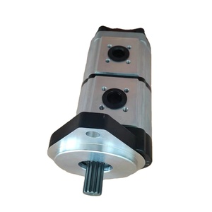 Pompe à double engrenage -v 80910417 en stock - Product Image 2
