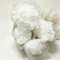 Anna Hortensien & Rosen Konservierte Trockenblumen 20g/Box Ewige Blumenmaterialien Geschenkbox aus China