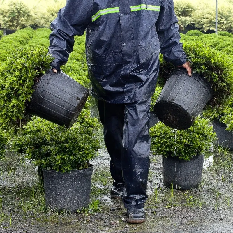 Grosir Pot bunga kecil berkebun Pot plastik Mini Pot Pot Pot pembibitan Pot bunga persegi