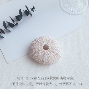 Fotografia <span class=keywords><strong>di</strong></span> stelle marine naturali KI Haihes, nail art popolare, ornamenti coreani e conchiglie - Product Image 2