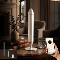 Diffuseur d'arômes à flamme rechargeable Bluetooth Wi-Fi pour huiles essentielles, parfums, décoration d'intérieur originale, diffuseur de parfum commercial