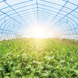 Bán buôn sinh thái thân thiện với tế bào 288 PS hạt giống di động Cassette khay với lỗ thoát nước - Product Image 6