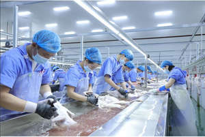 Machine d'abattage automatique multi-oiseaux de marque personnalisée, capacité 1000 kg, 5,5 kW, 380 V, équipement de traitement intelligent pour ferme - Product Image 2