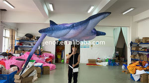 ชุดปลาเป่าลมพร้อมไฟ LED สำหรับงานพาเหรด งานปาร์ตี้ ตกแต่งงานเฉลิมฉลอง - Product Image 5