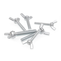 Boulon/écrou à aile papillon en acier inoxydable, 304 316 2507 2205 904L M8, vis et lave-linge