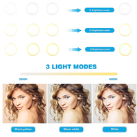 Anneau lumineux LED 12 ", avec trépied et support de téléphone portable, lumière réglable, pour Selfie, vidéo YouTube, maquillage en direct, beauté