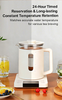 Bouilloire électrique thermostatée à affichage numérique