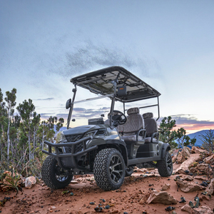 Heavy Duty Off-Road Electric Golf <strong>Cart</strong> with Seater Battery 60V New <strong>CE</strong> Certified - Product Image 3