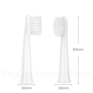 Electric <strong>Toothbrush</strong> Heads Manufacture Adult <strong>Toothbrush</strong> Head for Pana Sonic - Product Image 5
