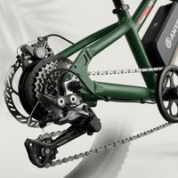 Vélo électrique à pneus larges à double moteur 2000W, 48V 17.5Ah, 20 pouces, VTT électrique pour adultes, tout-terrain, hors route