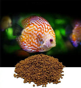 Gıda sınıfı enzim nötr proteaz seripeptidaz 50000/100000/200000 U/g - Product Image 6