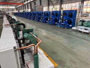 Lạnh lưu trữ Blast Tủ đông Thiết bị hiệu quả đơn vị hệ thống làm mát cho ngưng tụ đơn vị - Product Image 5