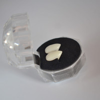 Dentier de Vampire 4 tailles, 50 pièces, dents avec granulés, pour Cosplay, accessoires d'halloween blancs, décorations de ailes