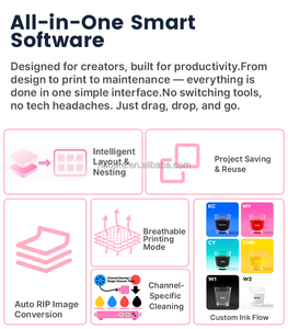 Nâng Cấp Làm Cấm-Miễn Phí Màu Hồng Dtf Máy In A3 13Inch Pet Phim Áo Thun Máy In Với Lò Nướng Cho Dệt May - Product Image 2