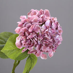 Hortensias <span class=keywords><strong>Artificiales</strong></span> Real Touch de 24 Pulgadas de Alto, Tallos de Hortensia de Seda Grandes, Hortensias <span class=keywords><strong>Artificiales</strong></span> para Centros de Mesa en el Hogar y la Oficina - Product Image 5