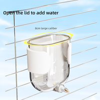 Vente en gros de mangeoire automatique pour oiseaux, distributeur d'eau pour perroquets, bols transparents pour pigeons, étourneau, alimentation 330ml