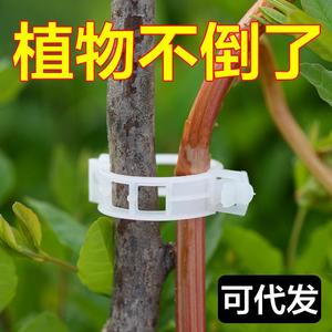 Clips de plástico blancos para atar plantas, 100 por paquete, para fijación de soporte de plantas de jardín - Product Image 3