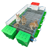 Cage à lapins durable à plusieurs niveaux en treillis métallique épaissi avec verrou de sécurité pour l'agriculture