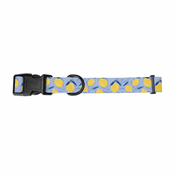 Ensemble de laisse pour chien anti-traction, nouveau modèle, motif citron mignon, luxueux et durable, vente en gros, produit pour animaux de compagnie, offre spéciale