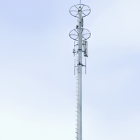 Tour de télécommunication monopode YingHao certifiée ISO de 30 m avec échelle interne et garde-corps de sécurité pour un accès de maintenance sécurisé, durée de vie de 30 à 50 ans