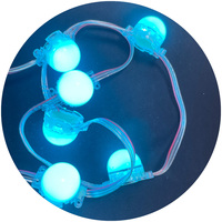 Module Rgbw couleur unique 30mm 12V Lumières de fête permanentes Led Pixel Point Light