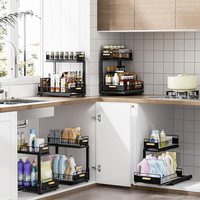 Organisateur de rangement coulissant en métal réglable pour épices, pour armoire de cuisine sous l'évier, 2 niveaux