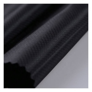 30D <strong>Nylon</strong> 66 Strong Tear Fastness Paraglider <strong>Fabric</strong> Waterproof Outdoor Parachute <strong>Fabric</strong> - Product Image 5