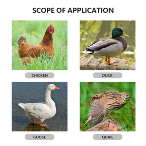 Năng suất cao XM-18D lồng ấp điều khiển trứng lồng ấp phụ tùng cho nhiệt độ và độ ẩm điều khiển cho gà & Emu - Product Image 6