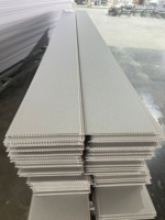 Paneles de Techo de PVC Impermeables, Fáciles de Instalar, Decorativos, para Sala de Estar