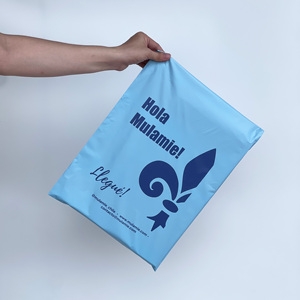 Hot Sale Matte Blue Mailer Bag With Shiny Gold logo 10*13 Bubble Bag Eco Poly Mailer Packaging Shipping Bag for <b>Clothes</b> - Product Image 1