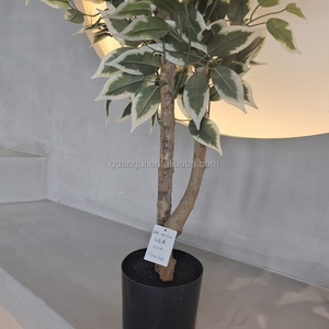 Vente en gros Offre Spéciale arbre de <span class=keywords><strong>Ficus</strong></span> artificiel bonsaï vert <span class=keywords><strong>Ficus</strong></span> arbre d'intérieur plantes artificielles <span class=keywords><strong>Ficus</strong></span> Banyan arbre artificiel à vendre - Product Image 6